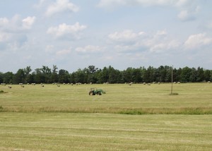 HayBales