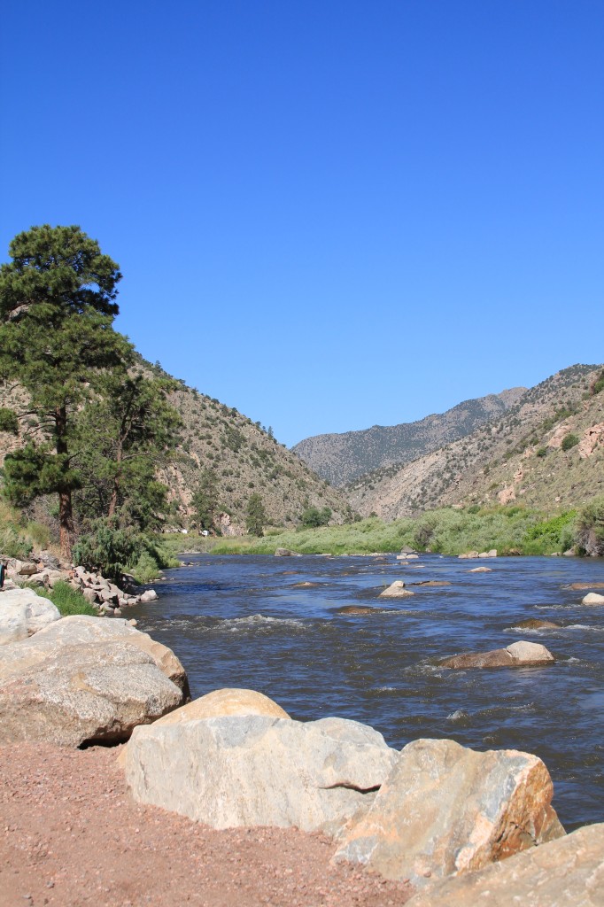 BigHornSheepCanyon