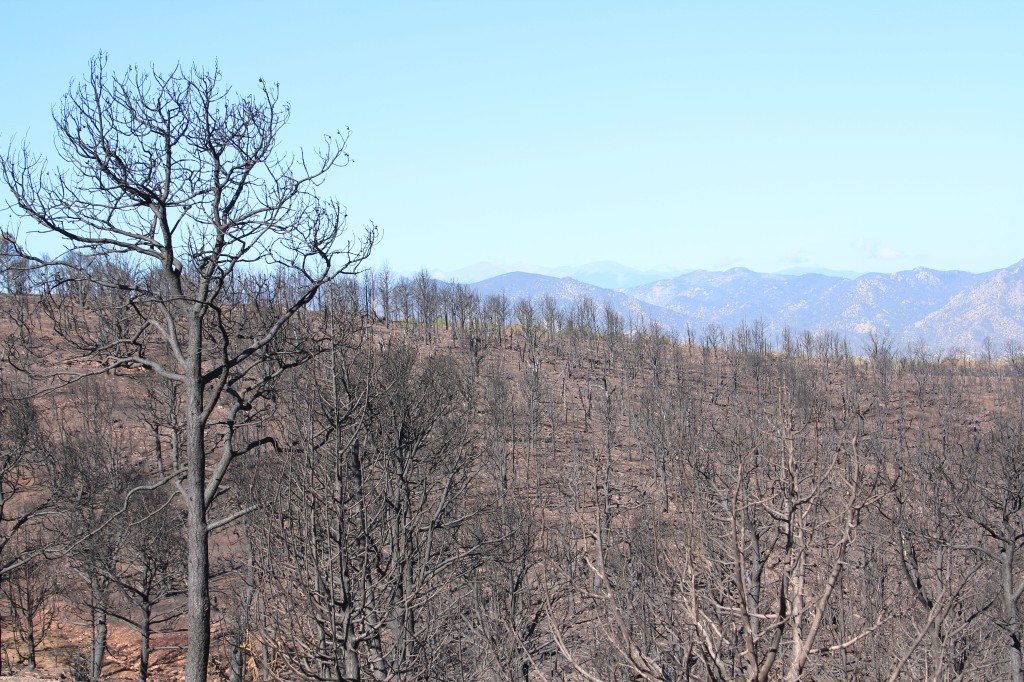 Royal_Gorge_Fire