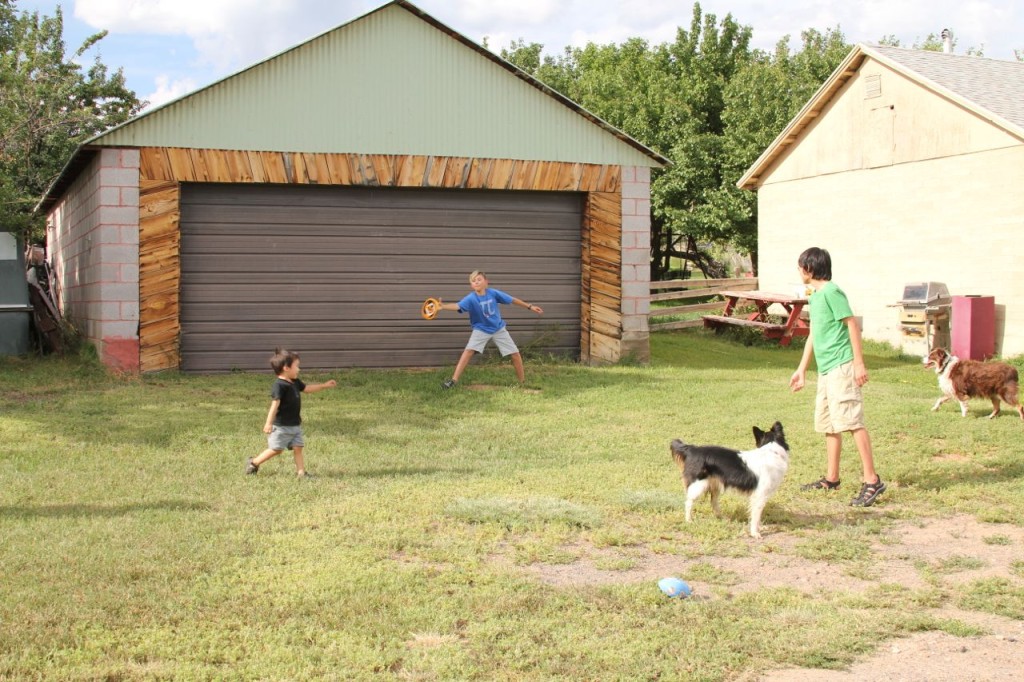 Frisbee