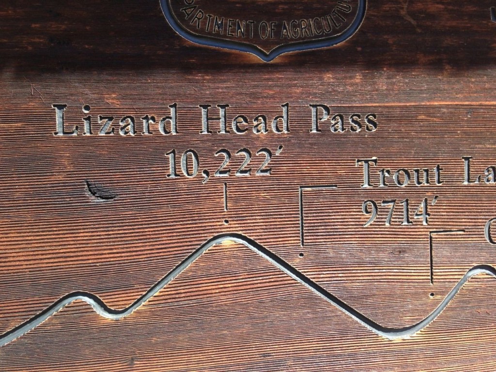 LizardHeadPass