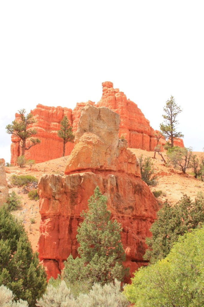 RedCanyon